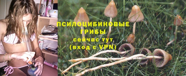 дживик Вязьма