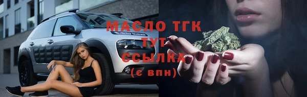 гашик Инсар